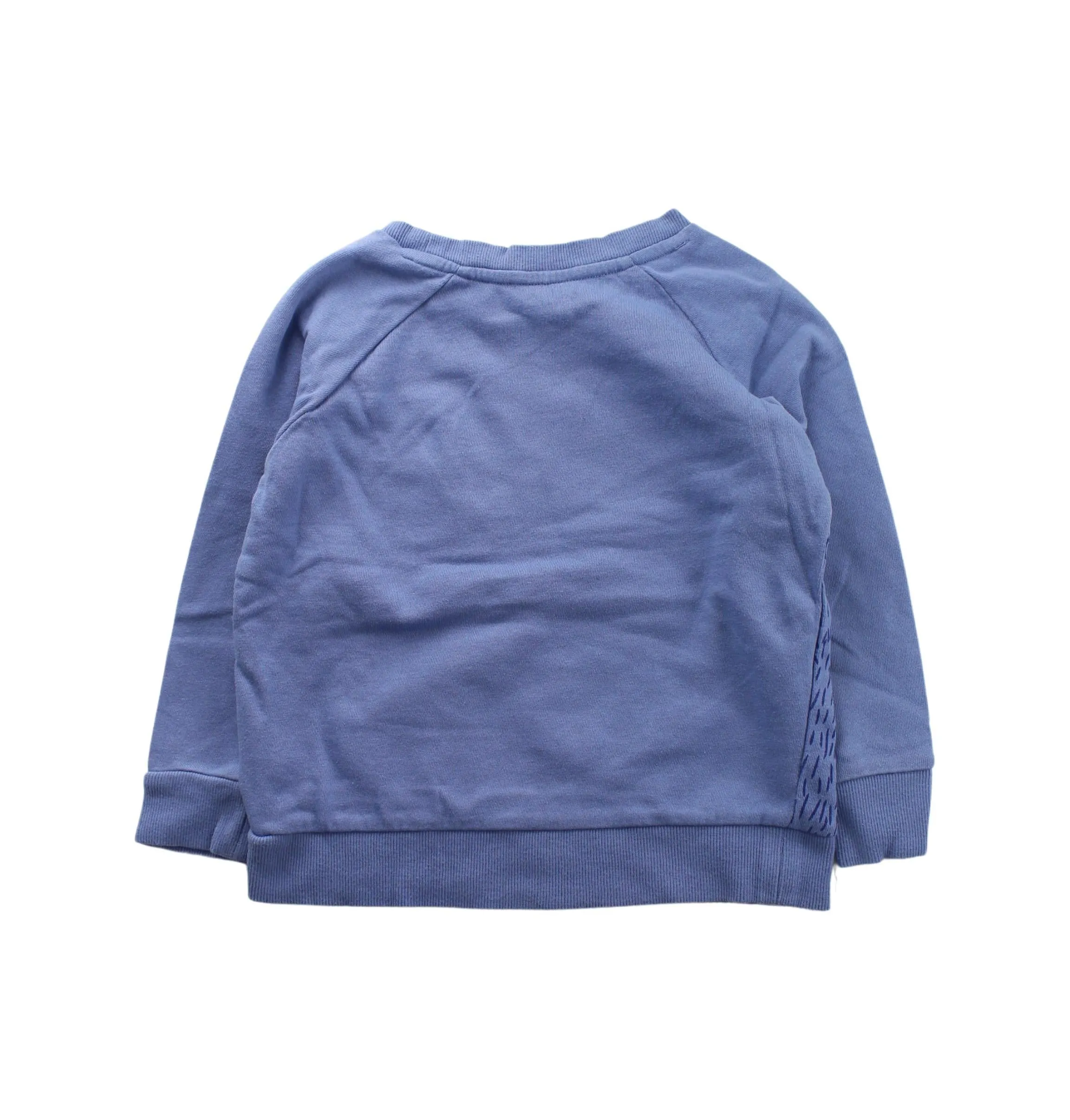 Seed Crewneck Sweatshirt 4T